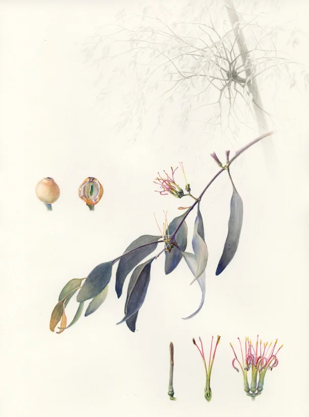 Scan+2.adjusted+copy.jpg