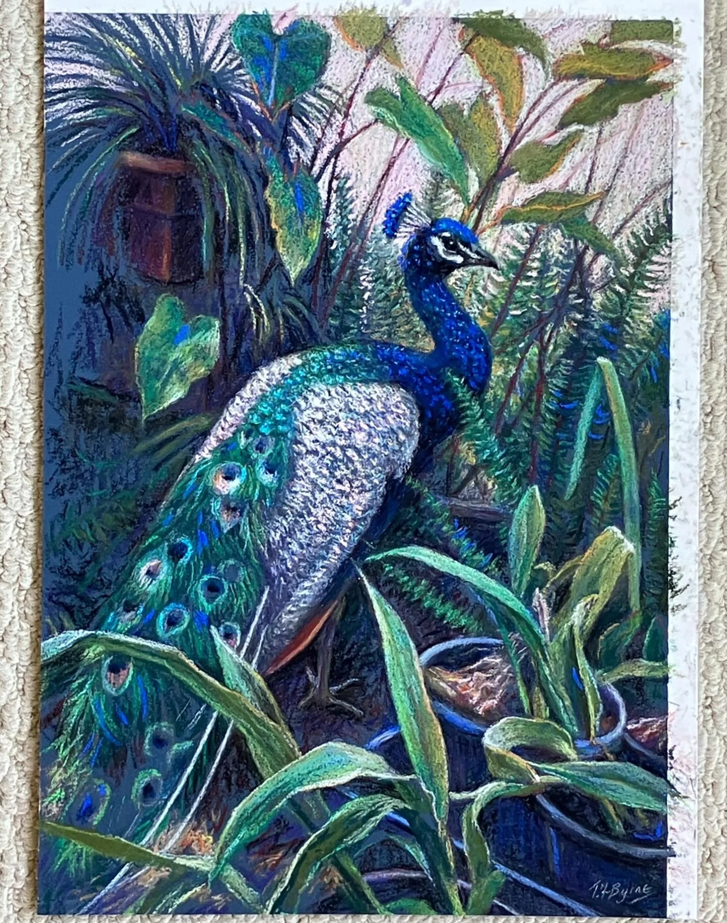 &lsquo;Andrew Camouflaging&rsquo;

Pastel for upcoming exhibition @muswellbrookartscentre, &lsquo;Up the Garden Path&rsquo;, with @alison_glenoak @suemladams @hilary.nicol.526 and Fran Wachtel. 

Five of us have been drawing in each other&rsquo;s gar
