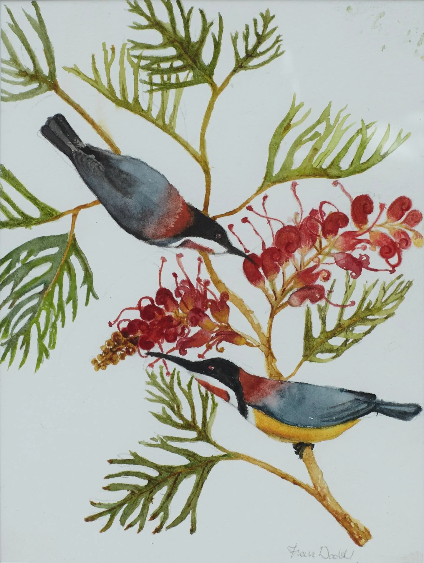 ‘Up the Garden Path’: Sue Adams, Teresa Byrne, Alison Hodges, Hilary Nicol, Fran Wachtel
23 October 2025 - 7 March 2026
Opening 4 - 6pm 25th October. 
NOT TO BE MISSED! 😁
Up the Garden Path
 
Over a glass of wine and cheese, Fran, Hila