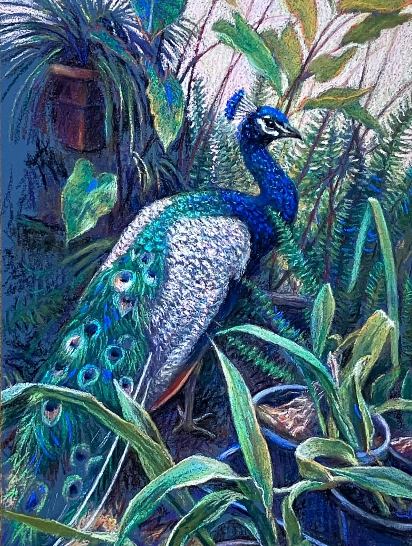 https://www.abc.net.au/listen/programs/newcastle-saturday-breakfast/garden-rambles-2025:-ep-45&mdash;scone-art-garden/106165752 

Radio interview with Scott Bevan 

Andrew Camouflaging - pastel. 
Teresa Byrne 

&lsquo;Up the Garden Path&rsquo;
23rd O