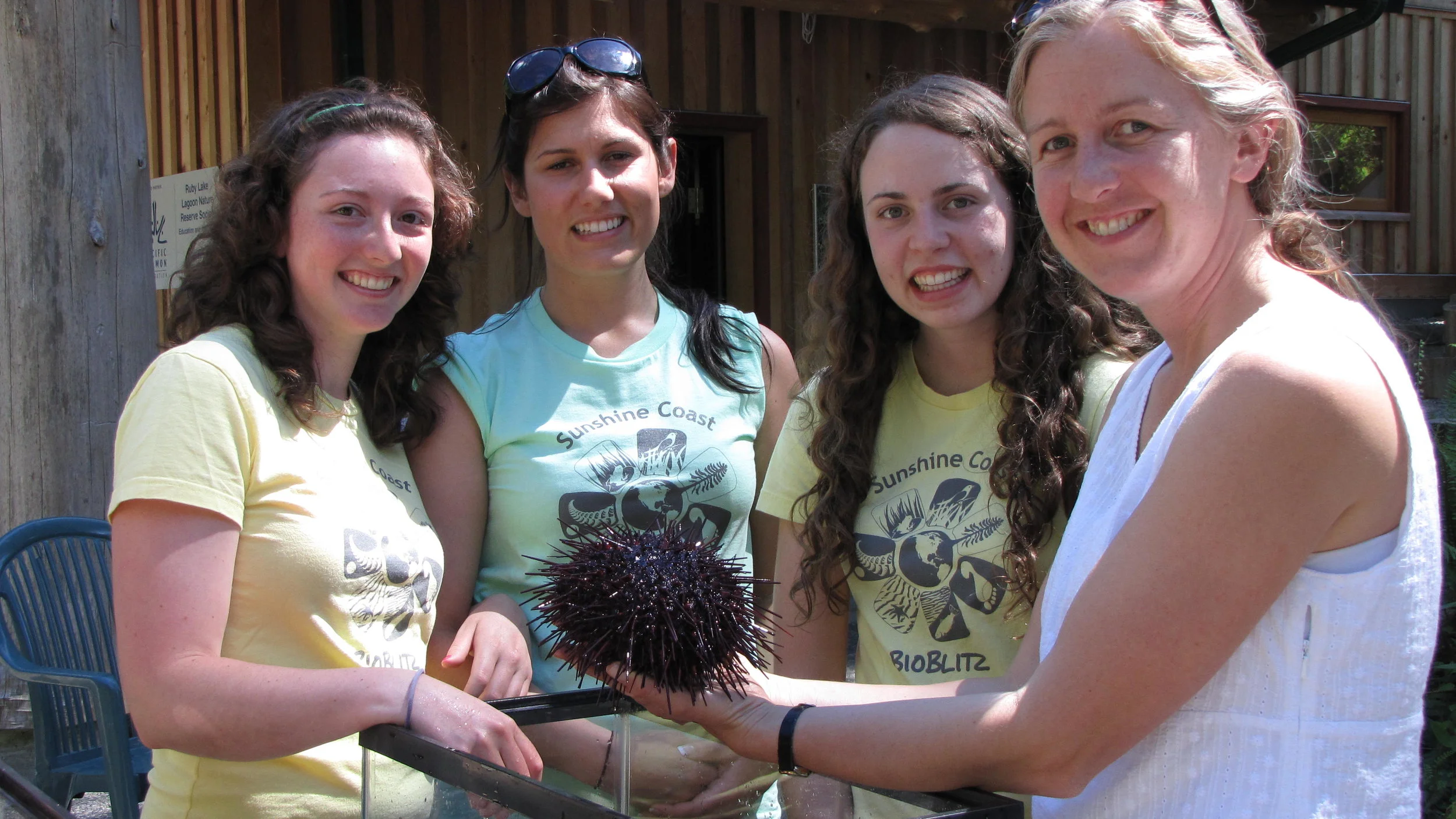 multiyear - bioblitz 2010.jpg