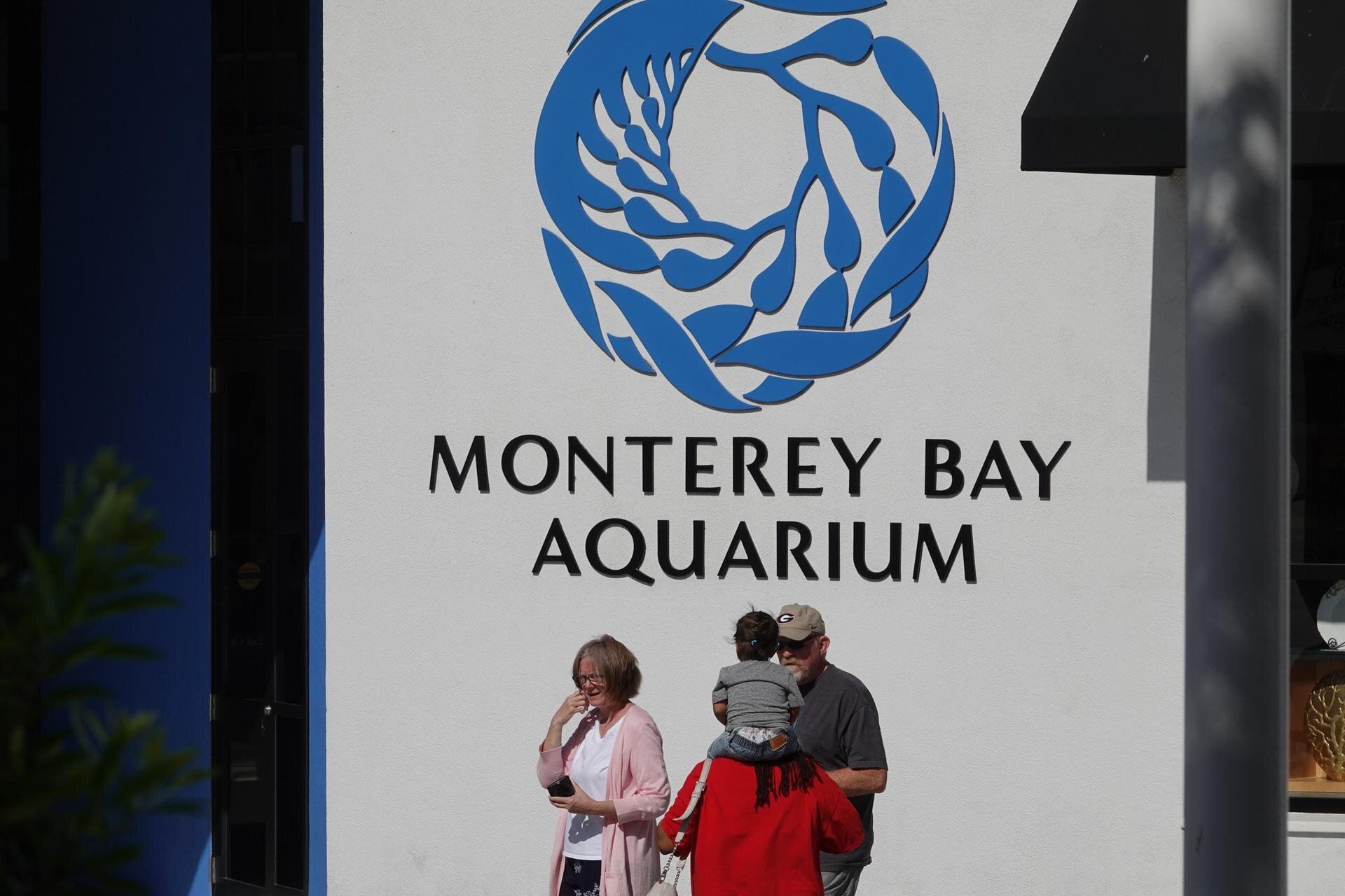 10. Monterey Bay Aquarium.jpg