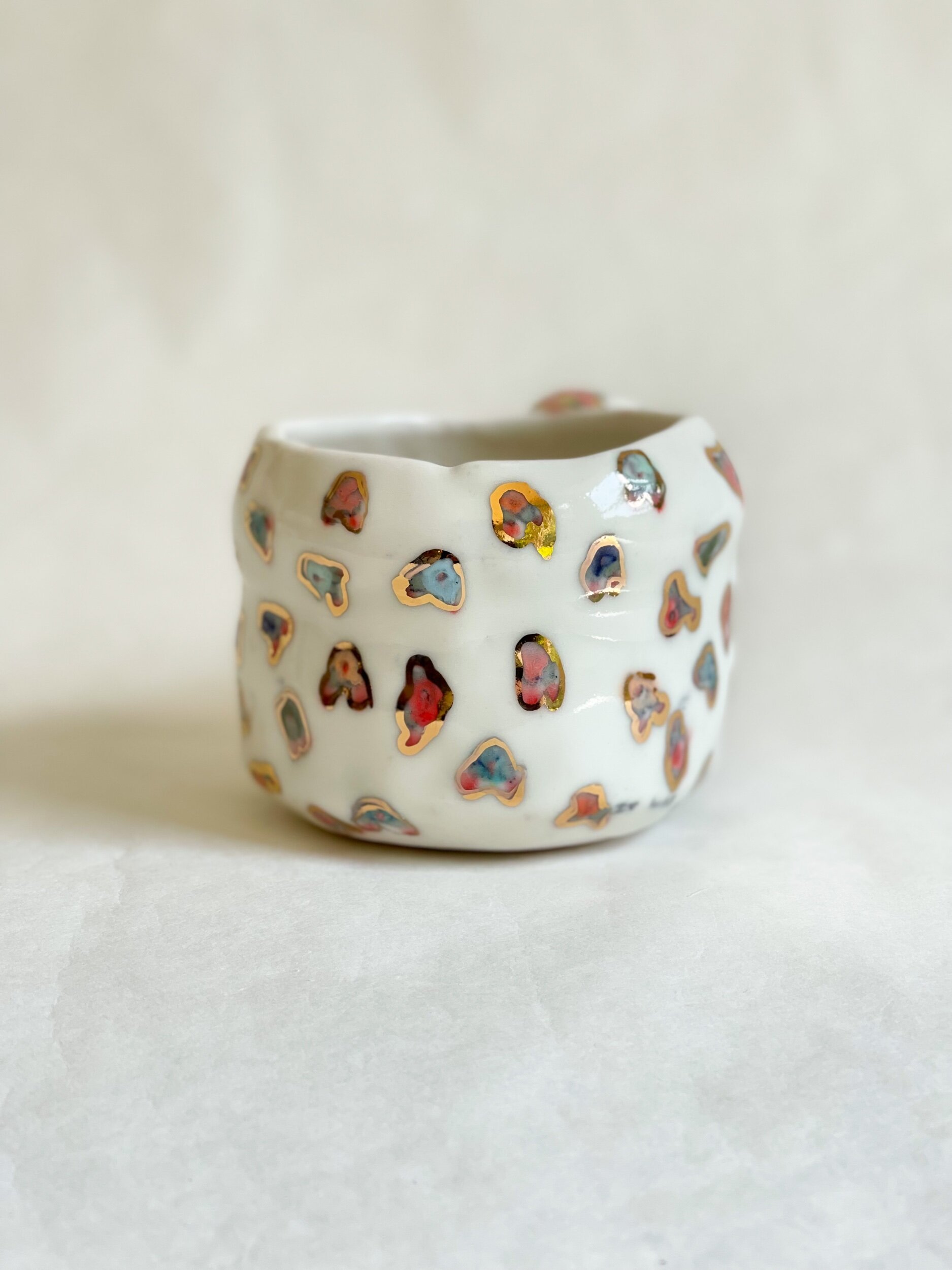 D16F3997-6023-4F74-9038-BF72431D80DA