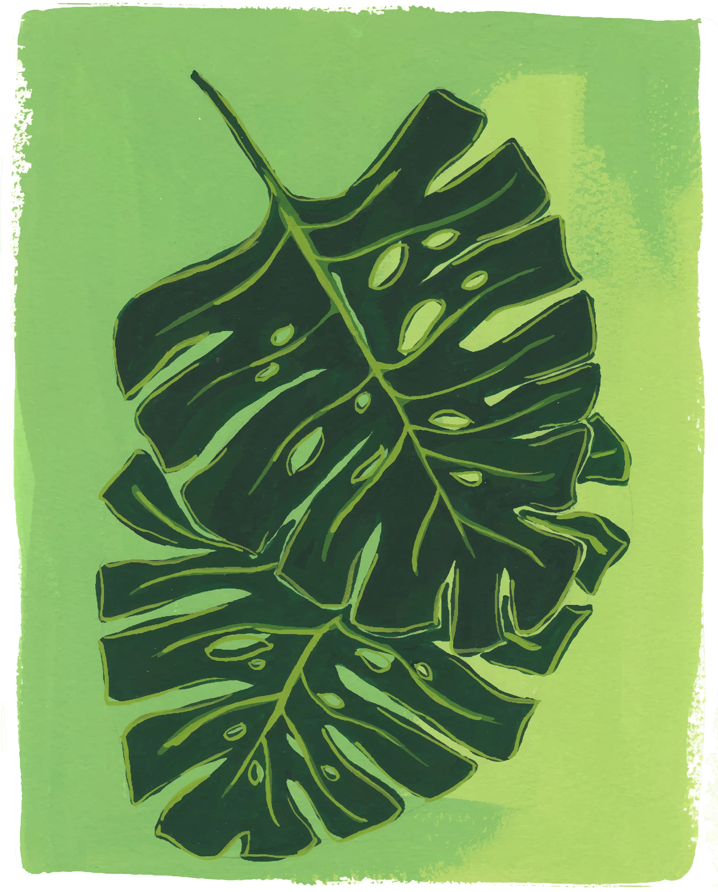 monstera-deliciosa-8x10-rgb.jpg