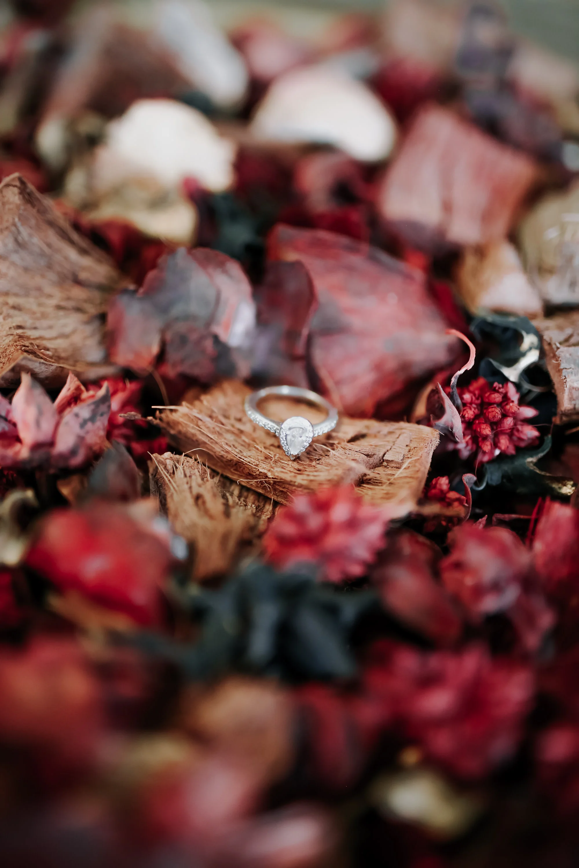 Haley & Stephen-483.JPG