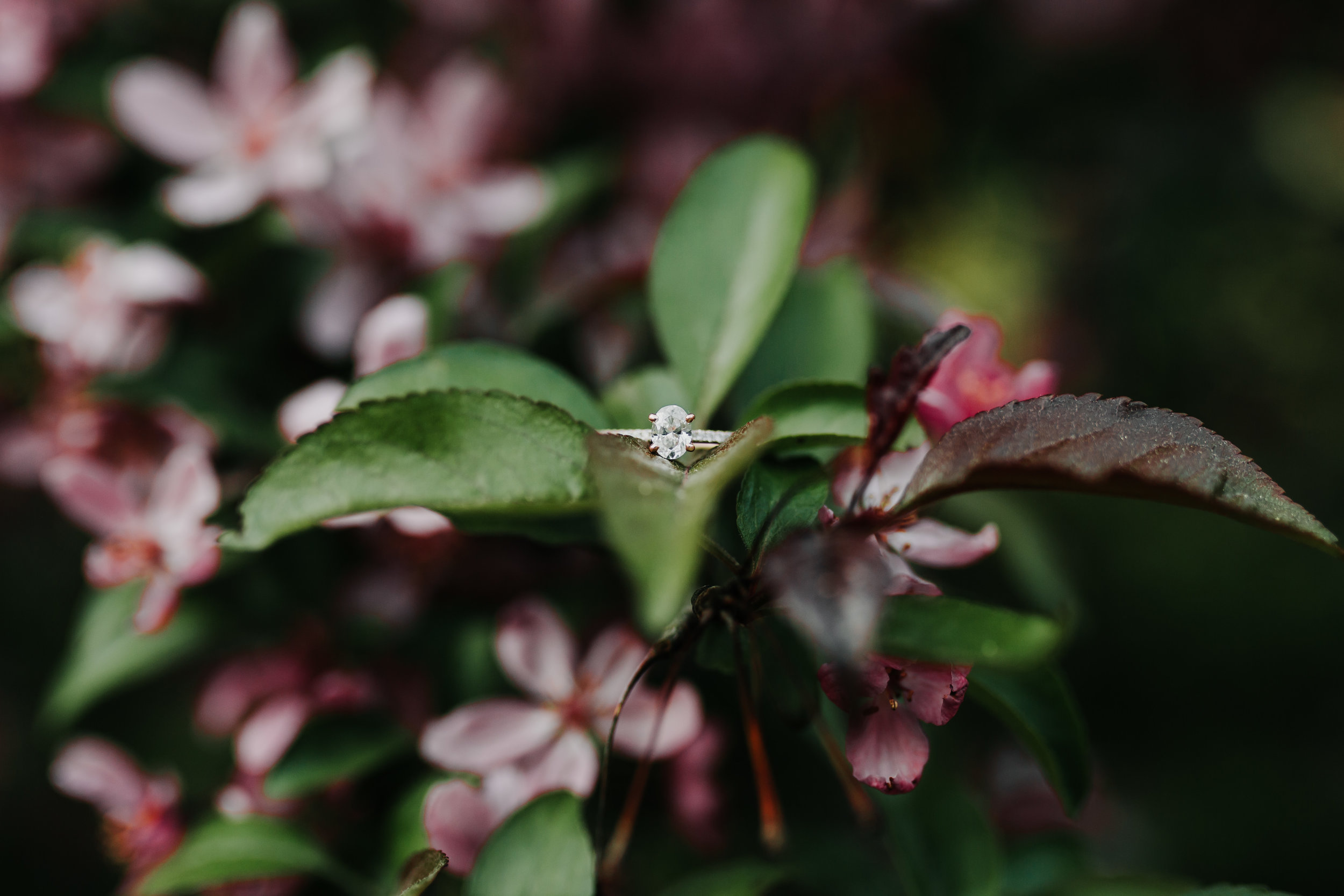 Carlie & Brandt - Engaged - Nathaniel Jensen Photography-93.jpg