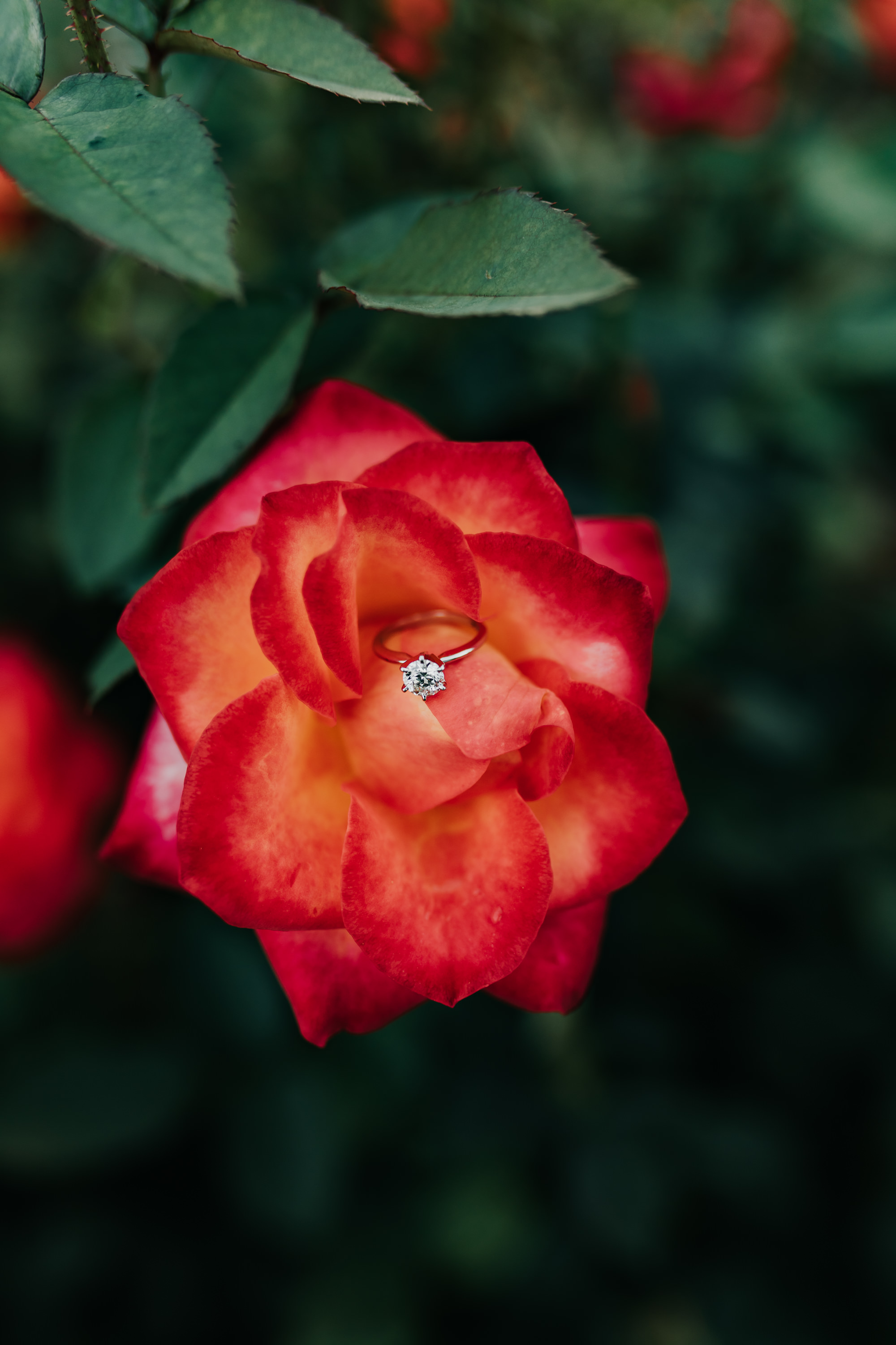 Catherin & Kyle - Married - Nathaniel Jensen Photography - Omaha Nebraska Wedding Photograper - Memorial Park - Joslyn Castle Engagement Session-66.jpg