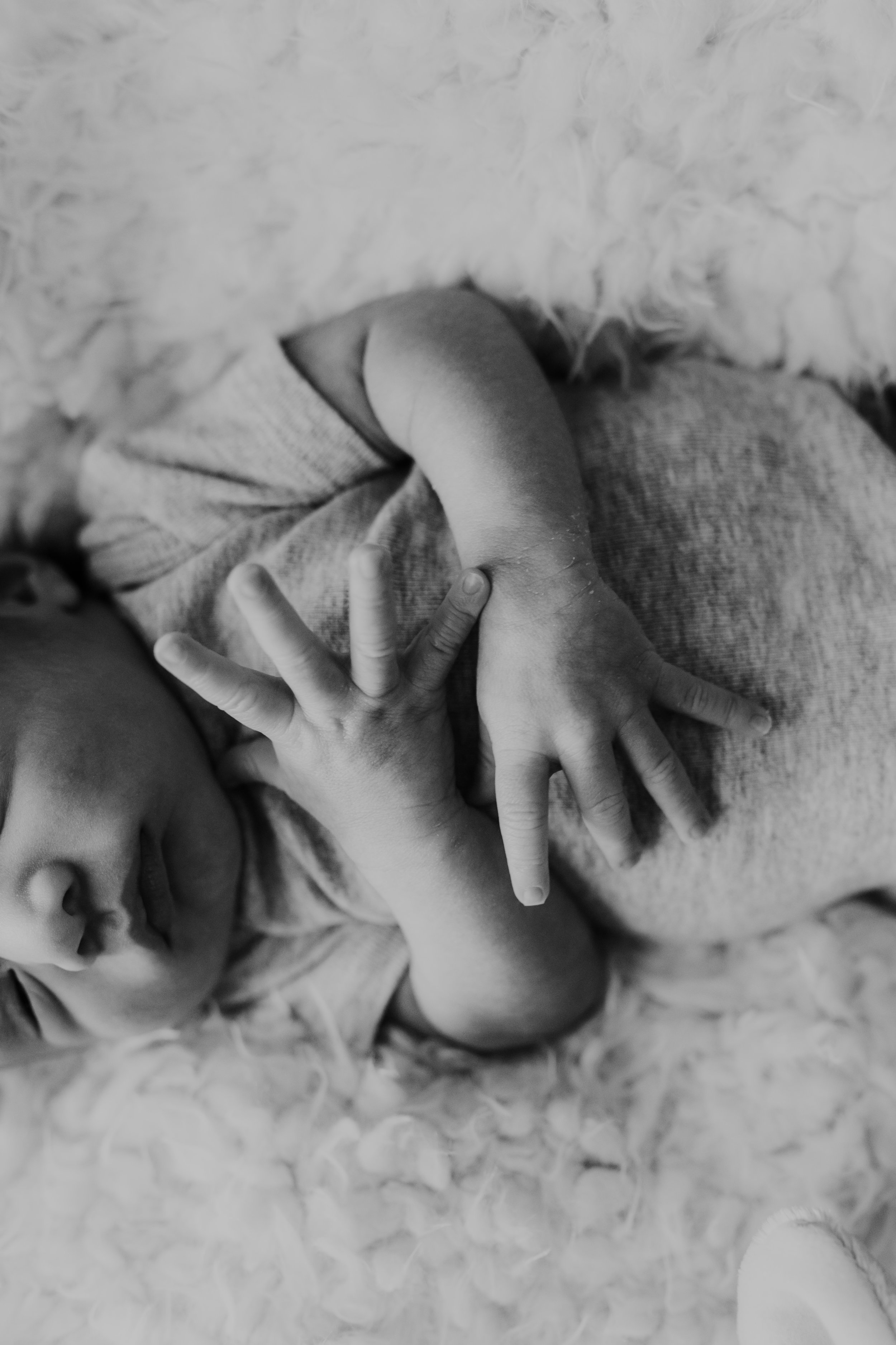 Elijah Behrens - Newborn  - Nathaniel Jensen Photography-37.jpg