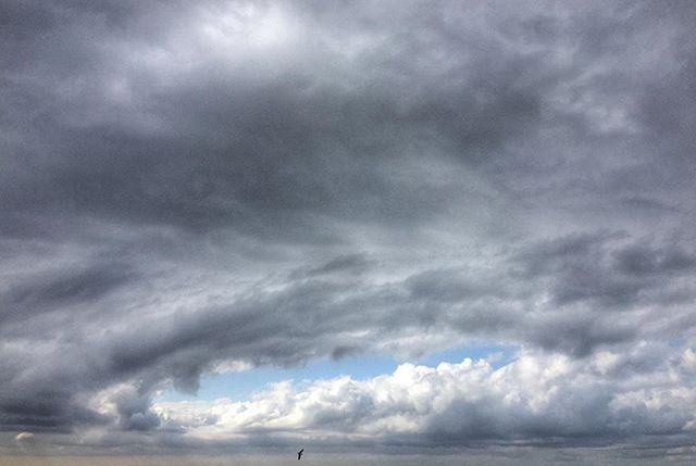 Despite storms ahead there's always a pocket of hope! #losangeles #naturephotography #ocean #kindnessmatters #santamonica #hope