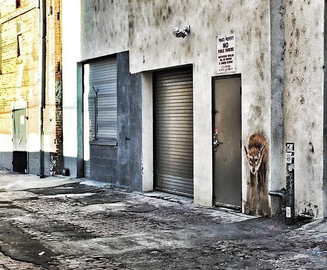 Ode to my old friend, Chance. Coyote Spirit still protects. #urbanphotography #urbanlife #urbanlandscape #downtownla #coyote #savecoyotes #savethecoyotes