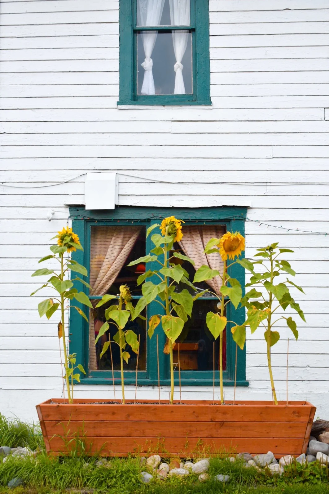talkeetna 3.jpeg
