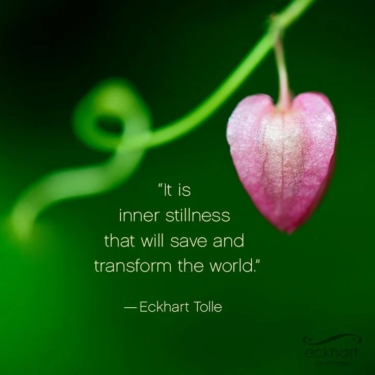 Photo: www.eckharttolle.com