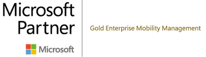 Microsoft Partner.png