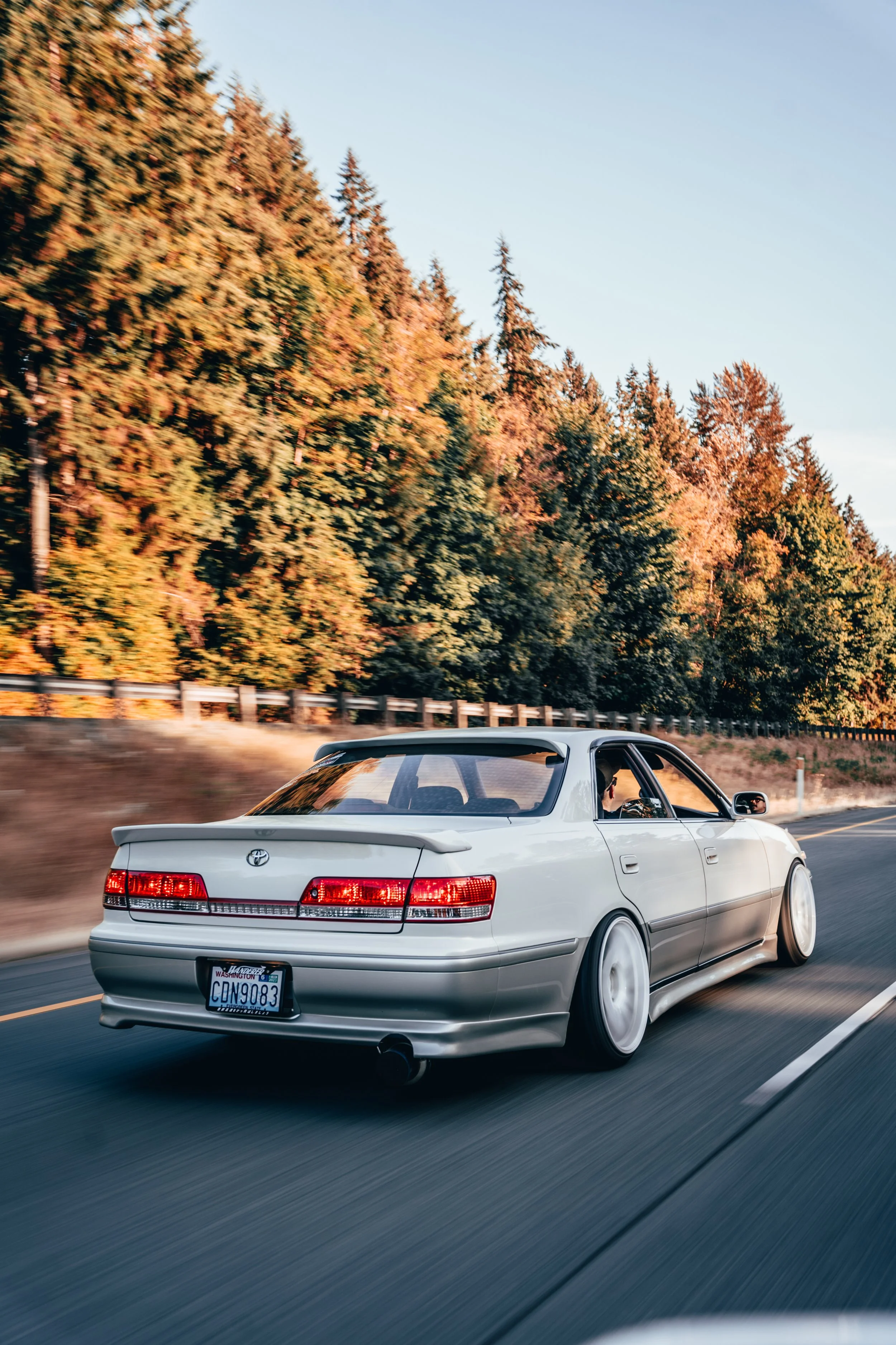 DSC08835.jpg