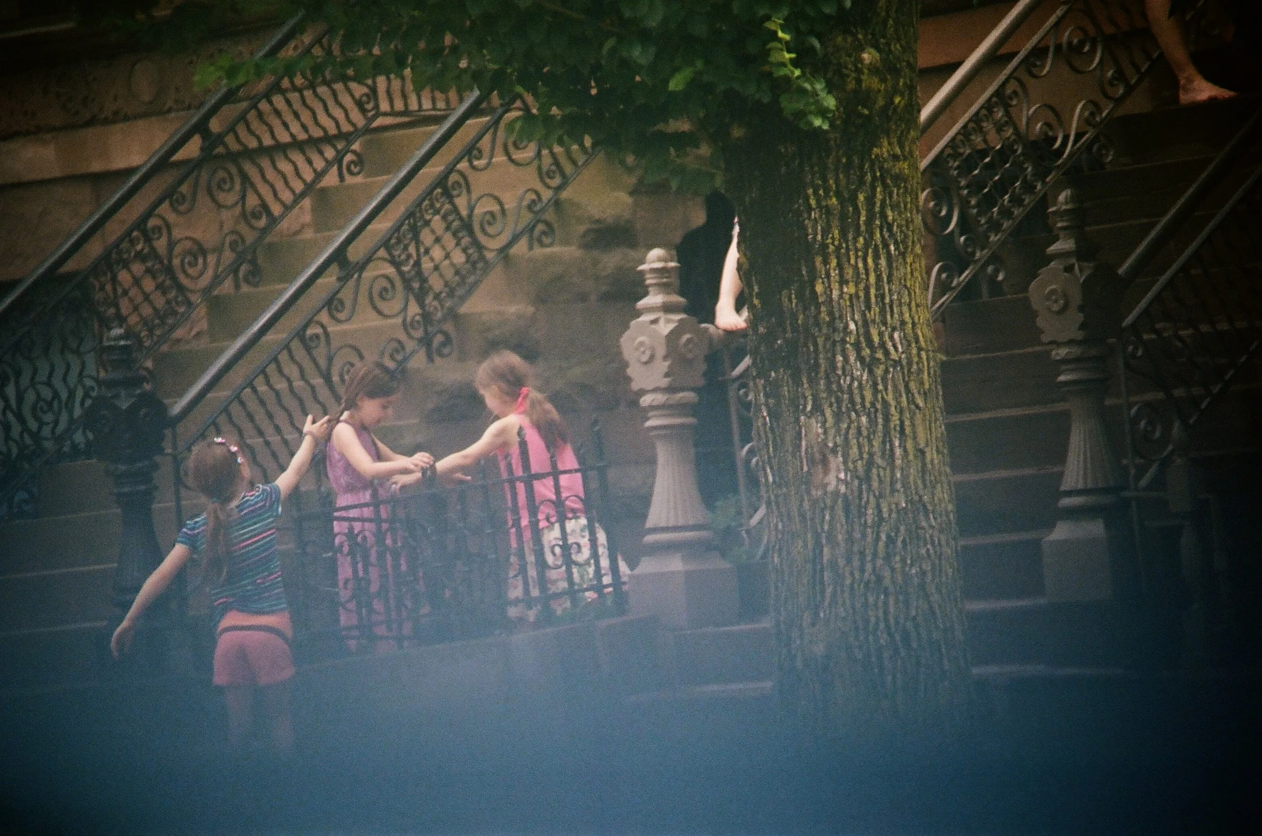 Fairies