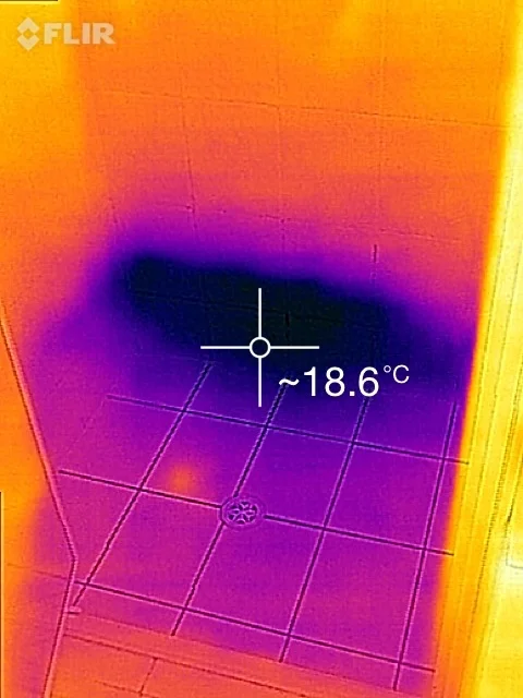  Thermal Imaging camera to assess water leaks in wet areas 