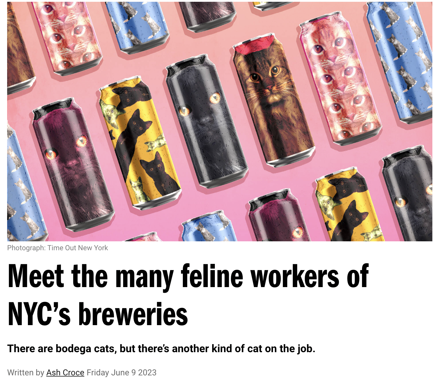 Screen Shot 2023-06-10 at 11.51.37 AM.png