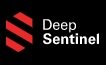 Deep Sentinal Logo.jpg