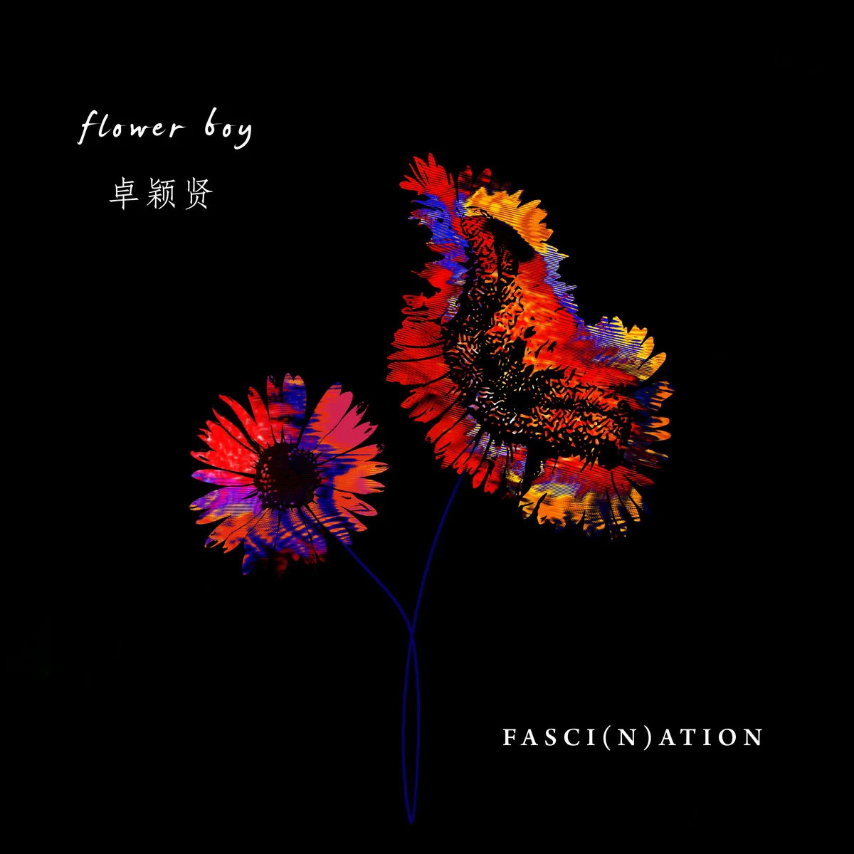 5 Questions: Flowerboy卓颖贤