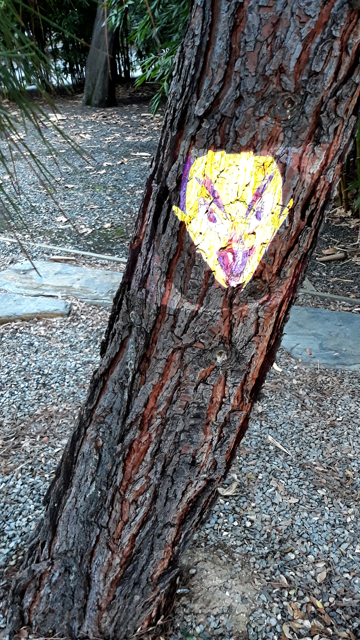o-yellow-face-tree.jpg