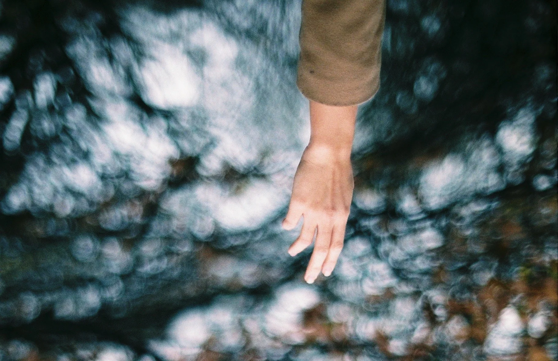 Photograph by Leah Jing