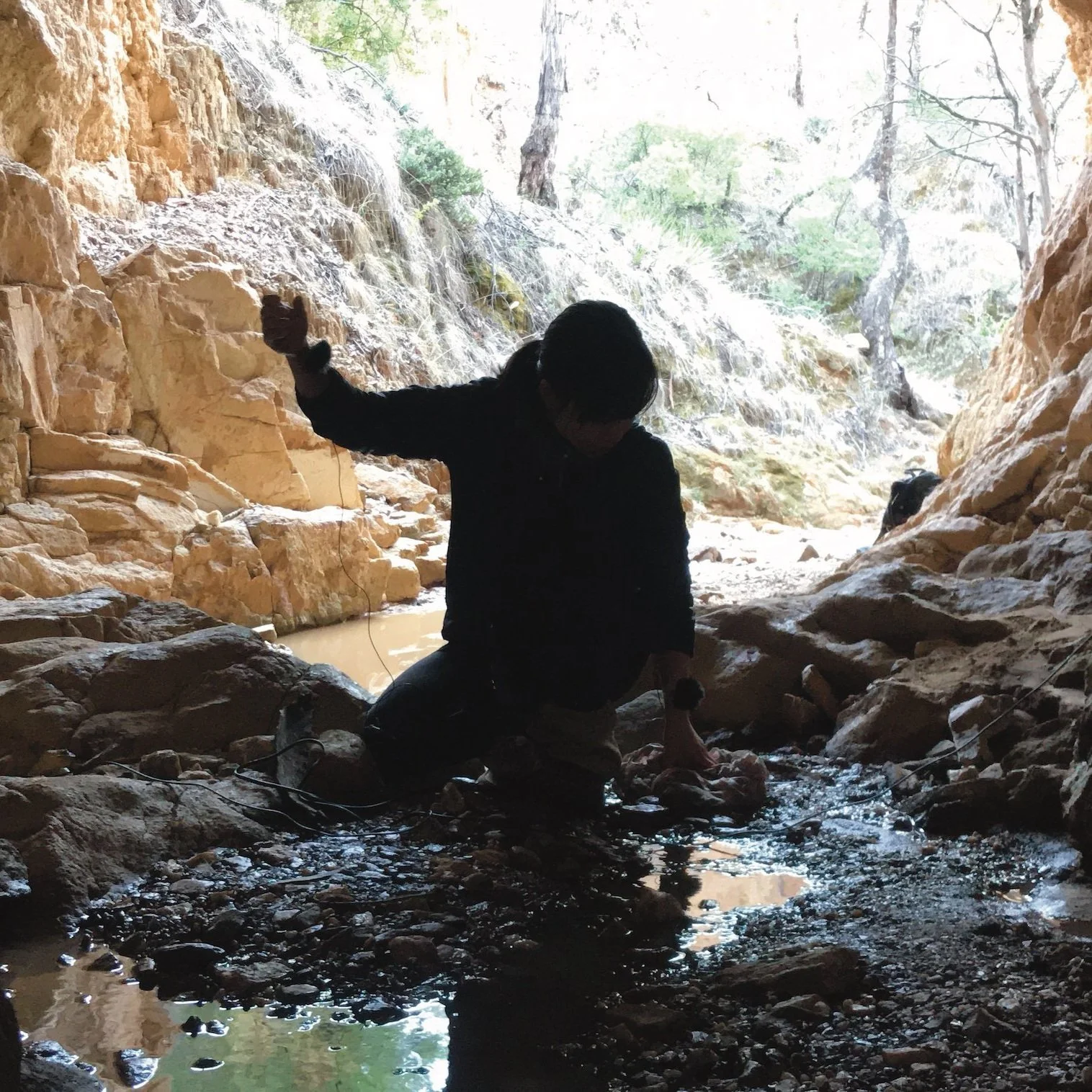 5 Questions with Cindy Chen