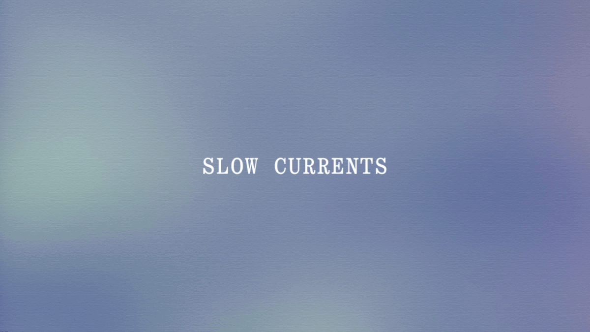 2022 | Meet the Slow Currents Writing Workshop