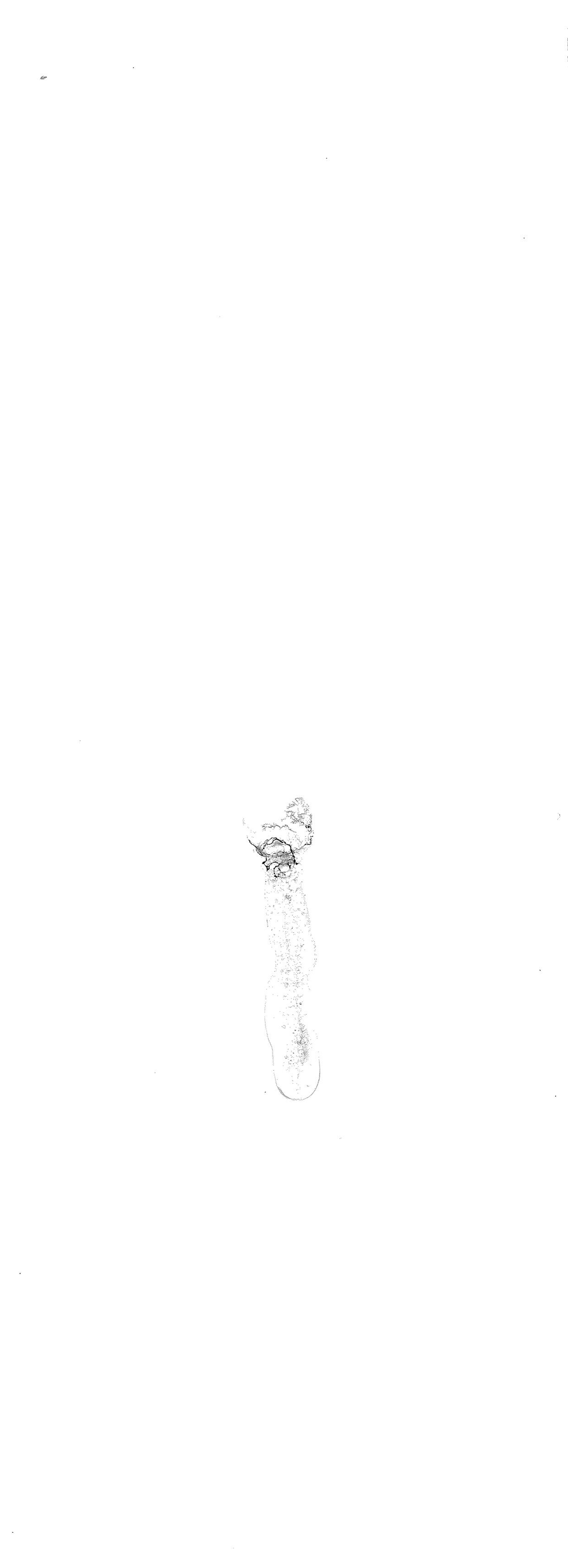 10Enza Galantini, SFD#24, 2017, ink on photographic paper, 29x10,5 cm.jpg