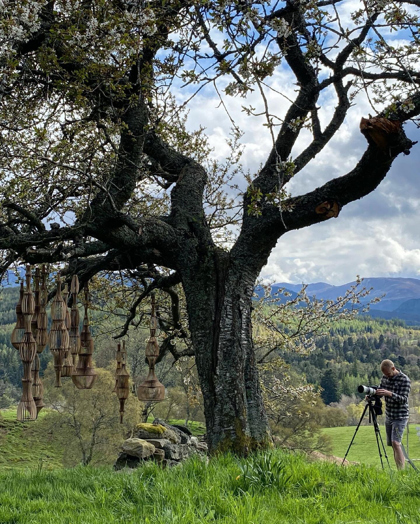 Thank you for taking such beautiful beautiful photos @ben_m_addy. 

Ben doesn&rsquo;t usually photograph my work. He photographs the environment; birds and mountains, so worked on these photos as landscapes - which is what I adore about them. 

We su