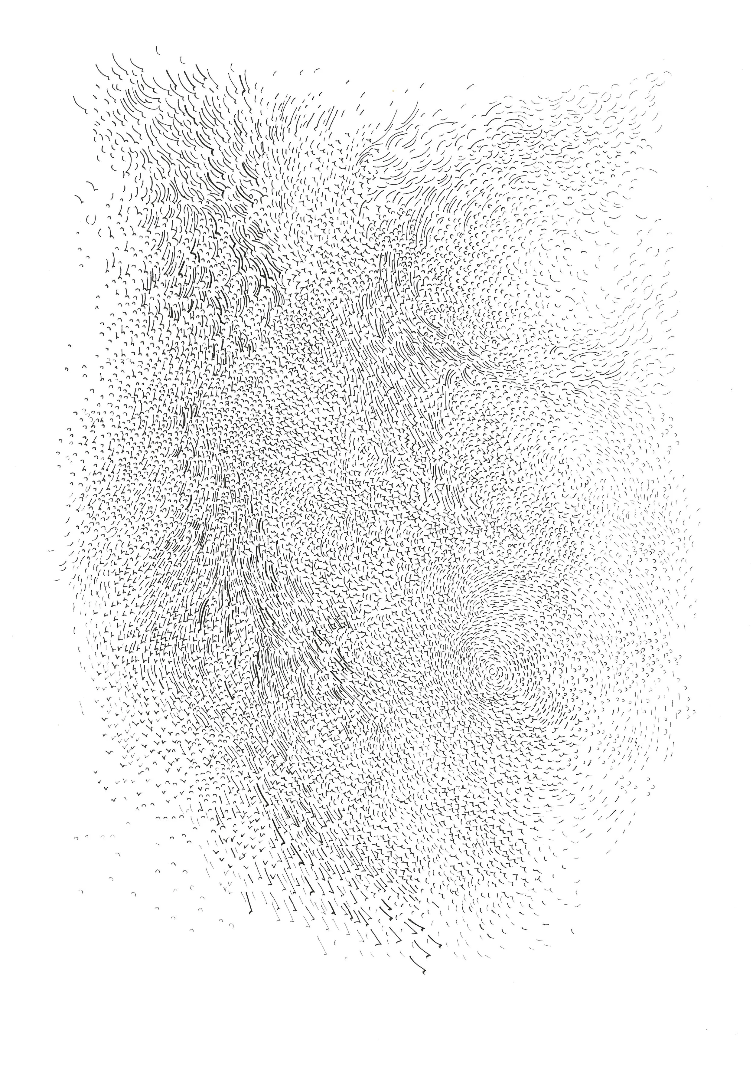 Lichen.JPG