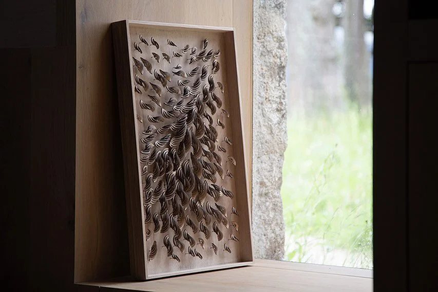 Quietly. A new addition to Sown by Air series

Sown by Air 4
60h x 40w x 4.5d cm
Beechwood 

Whilst just looking for something else I found this note i wrote to myself on my phone from a couple of years ago - i remember that feeling:

I love gardenin