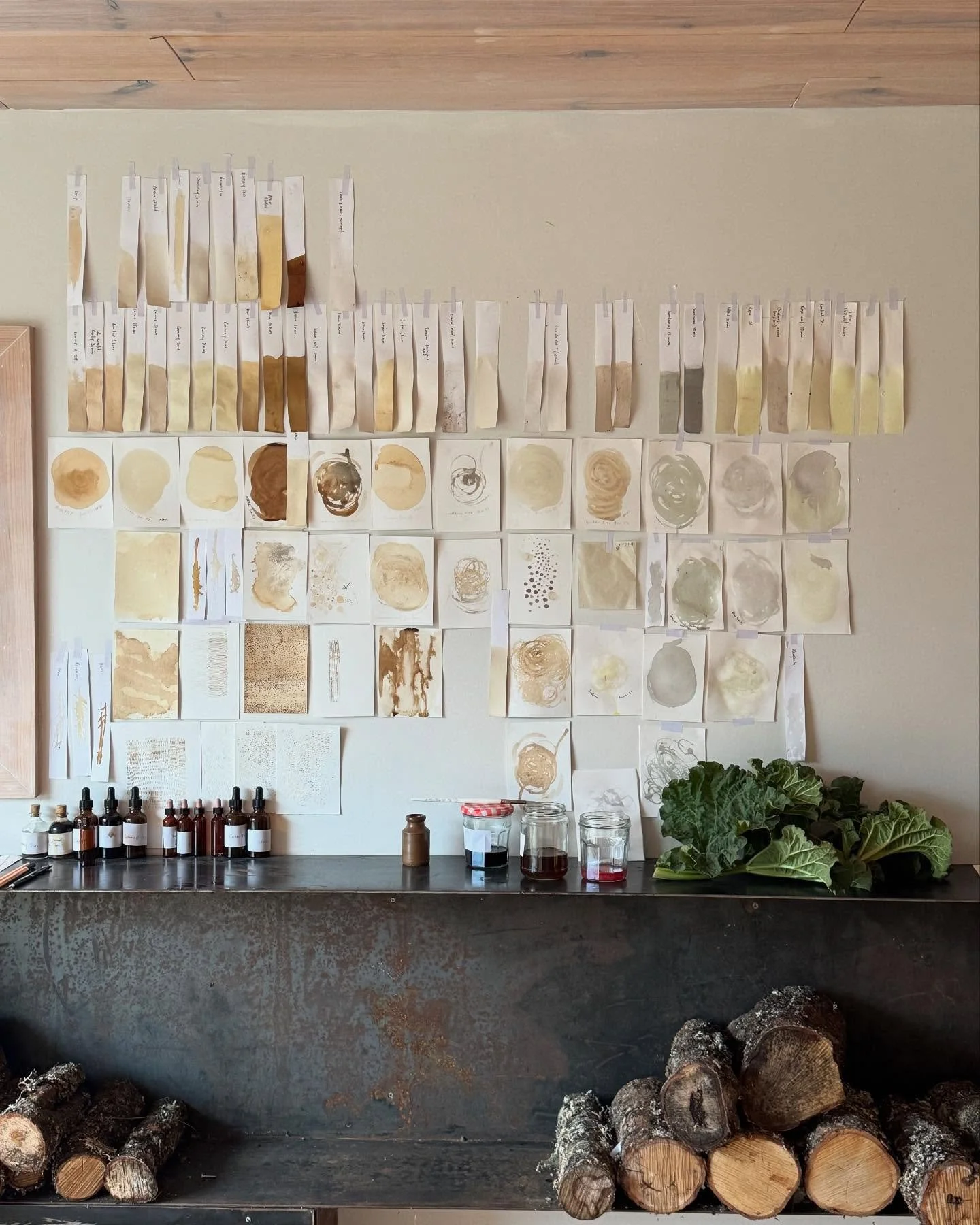 It is heaven to be in the studio and the garden.

Almanac of drawing is moving into spring. Today&rsquo;s pigments are from nettles, rose leaf, rhubarb, sambuca and daffodils. 

Gardens and gardening create connections. Our relationship with communit