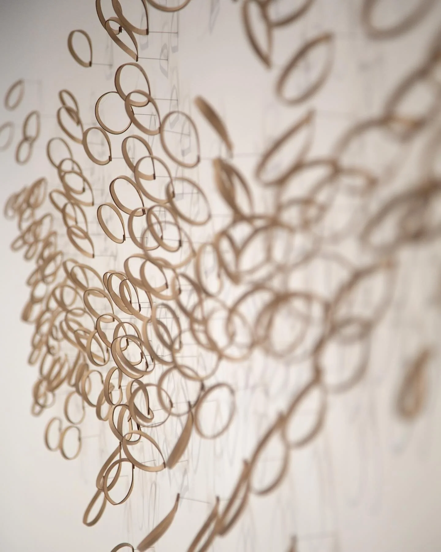 Hana Akari - flower light. 

The softest and quietest of approach. A minimal intervention. Repeating lines of fine steam bent beachwood draw a fluttering of shadows. 

I think of this piece as a scattering of petals being blown in the wind. A spring 