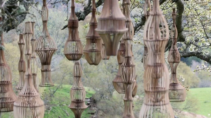 Quiet Garden in the cherry tree in 2021.

I adore this beautiful tree. The only tree when we started the garden here. 7 cherry trees, grafted together and planted by a Balmoral gardener who used to live high up on this hill long before us. 

Another 