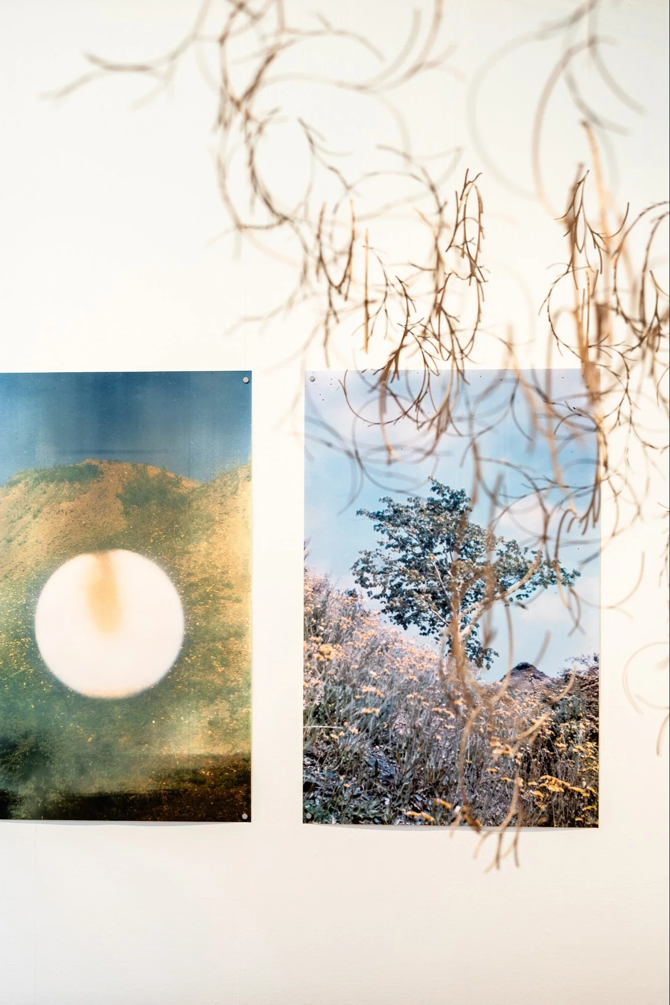 DearEarth-FifeContemp_misslydiaphoto-014edit.jpg