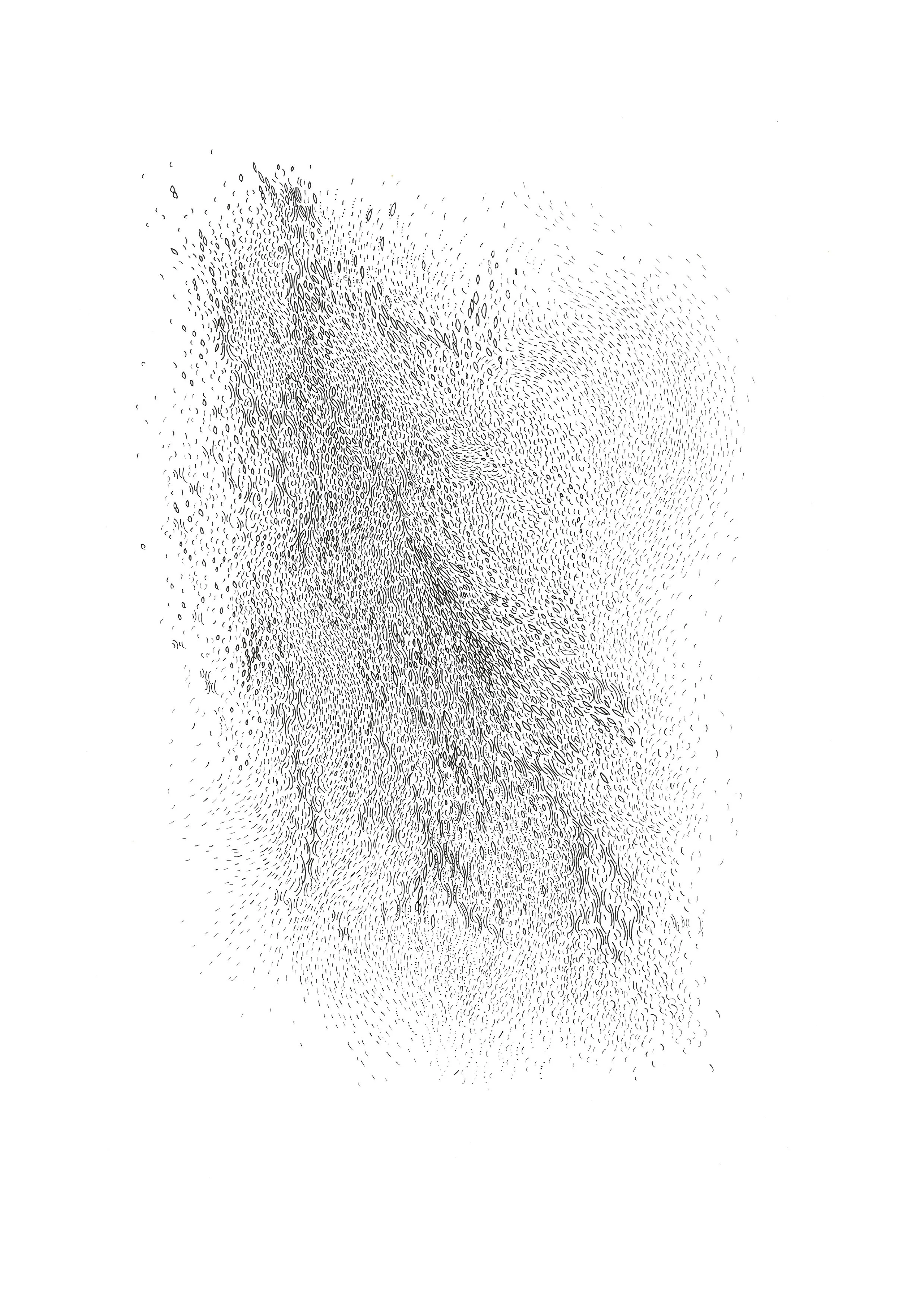 grassThumb.jpg