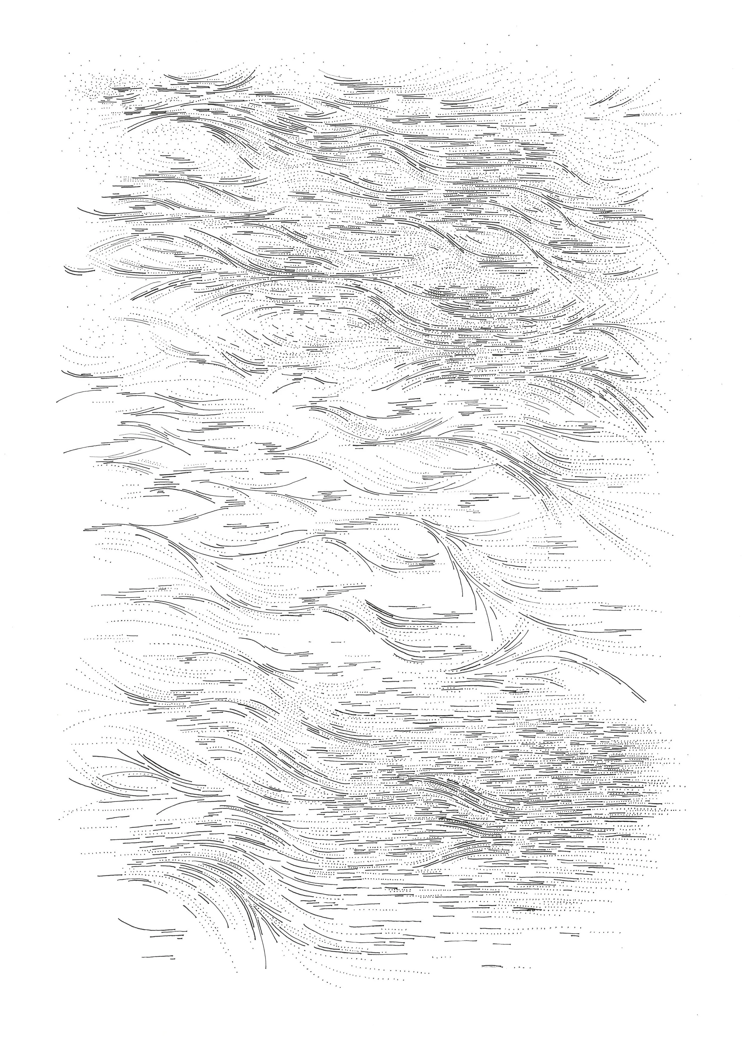 Birch Bark.JPG