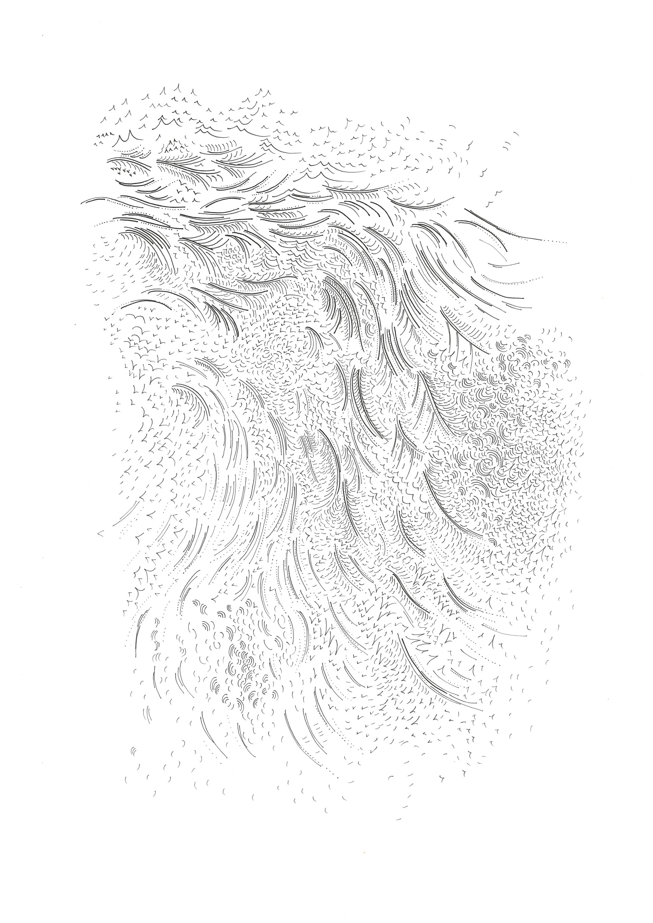 Holly.JPG