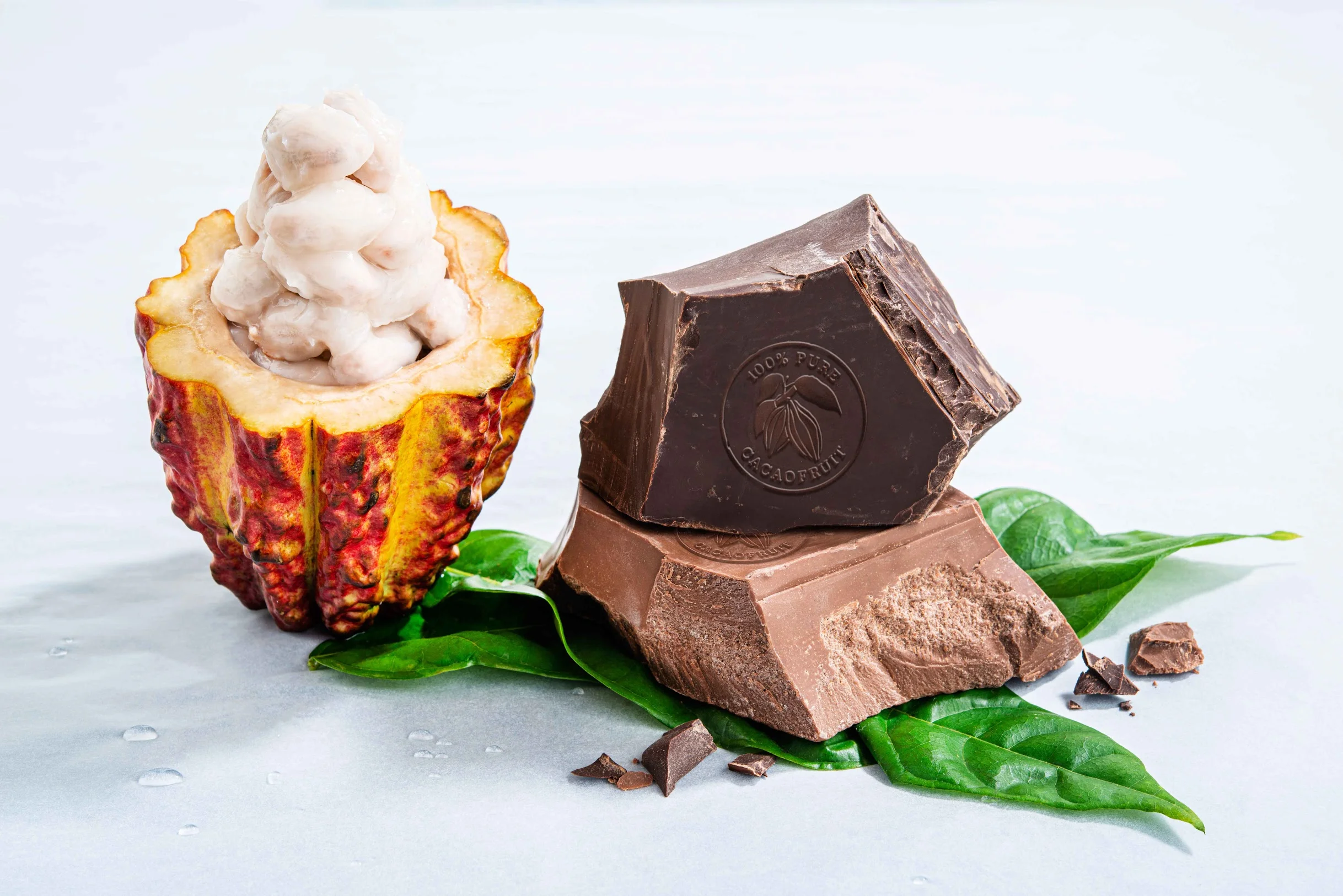 Barry Callebaut unleashes the full power of the cacaofruit in next-gen food &amp; drink category