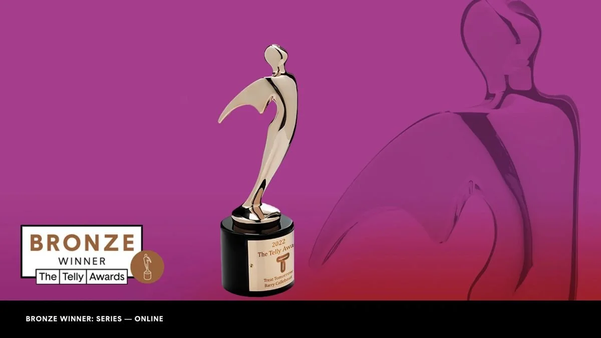 AM wins a prestigious Telly Award in Series-Online 