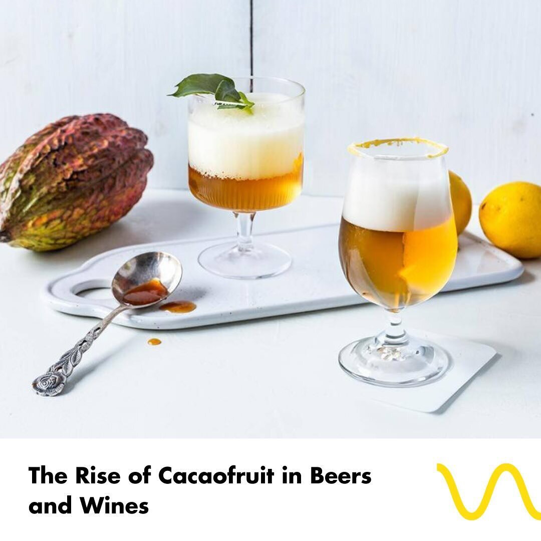 Cabosse Naturals&rsquo; delicious cacaofruit ingredients in the news!

By crafting a trend story and pitching in interviews Cabosse Naturals has gained widespread attention for its impact on the beer and wine(!) segment with its delicious and distinc