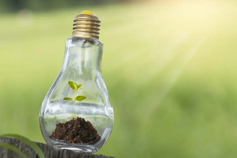 Glückwunsch zum Sonderpreis "Soziale Innovation und Nachhaltigkeit"!