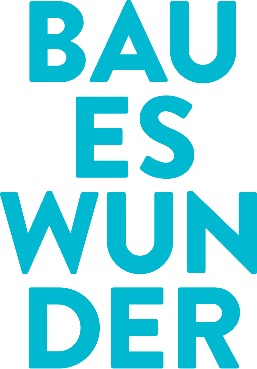 BAUES WUNDER