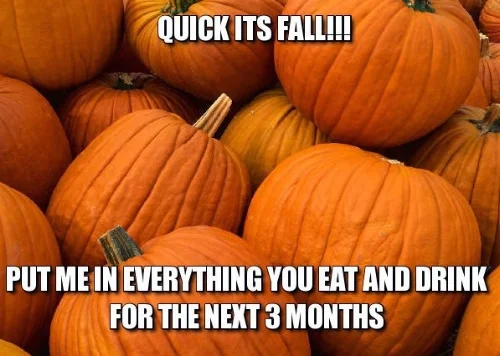 fall-meme-4.jpg