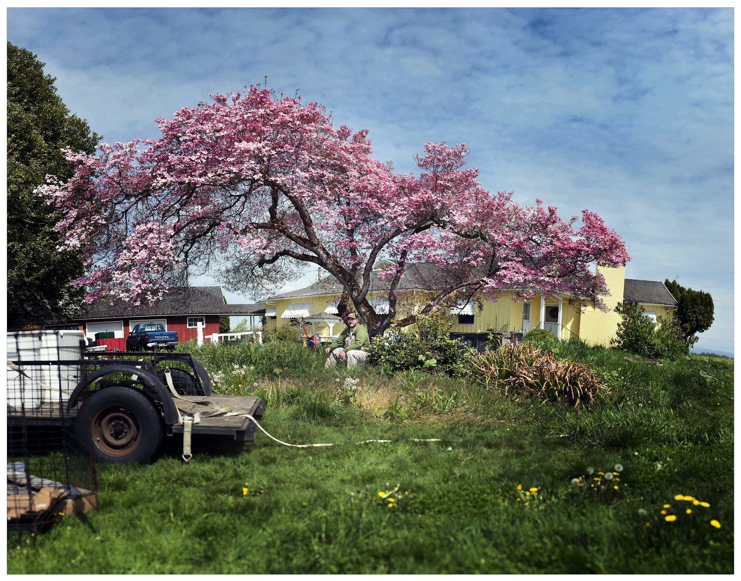 GreyCherryTreeCOMP_SM.jpg