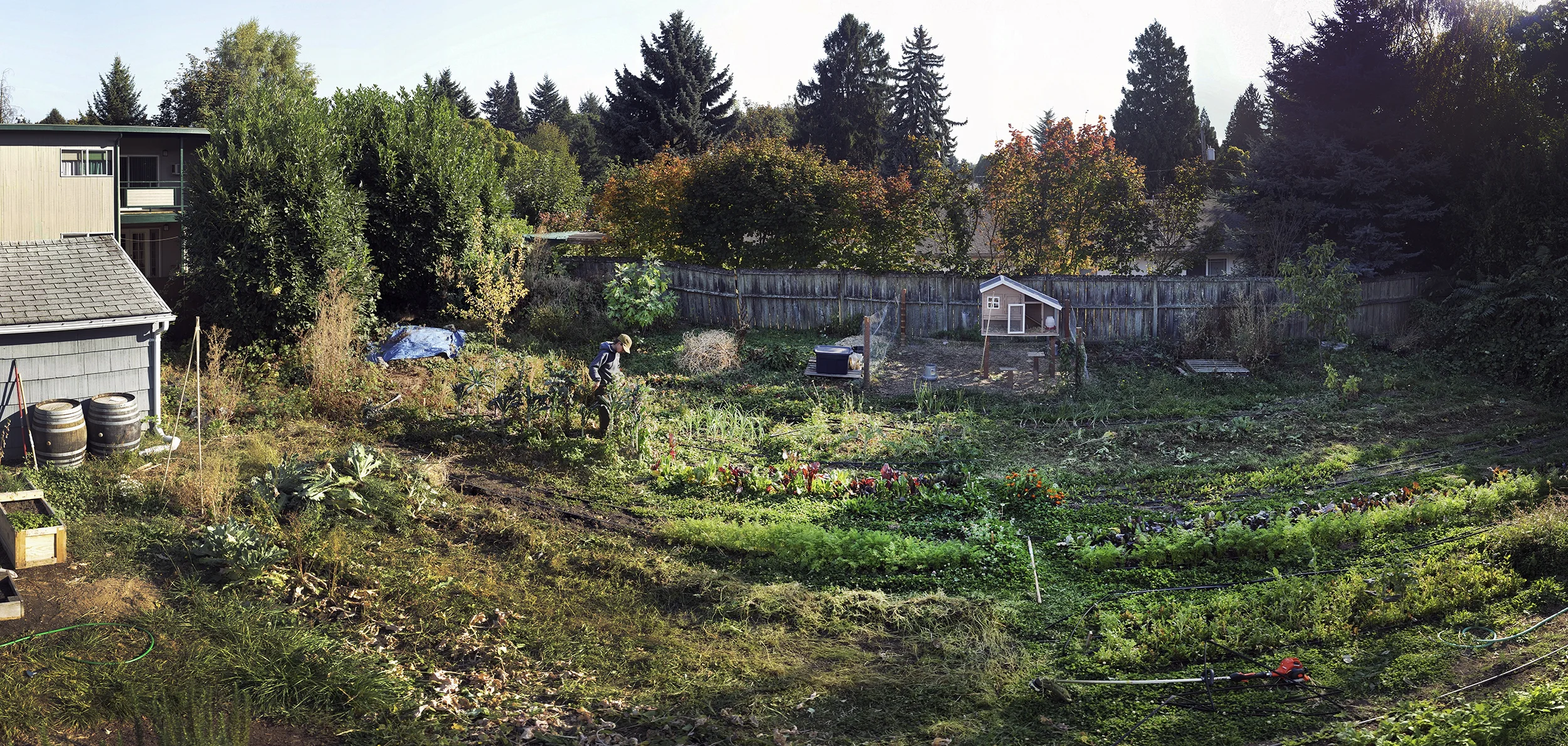 CarrieFarm22in300DPI.jpg
