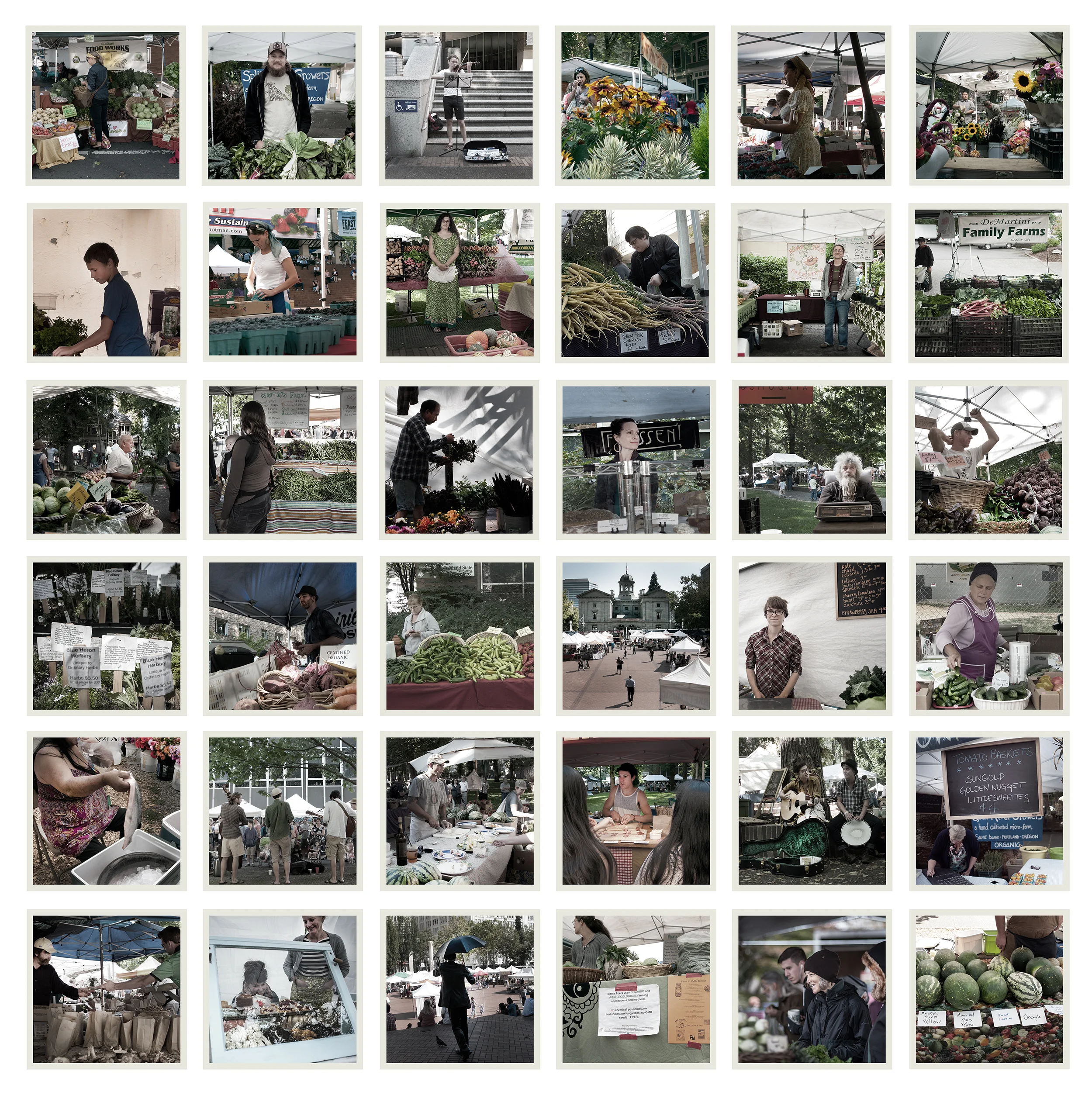 MarketCollage_EffectsZenfolio.jpg