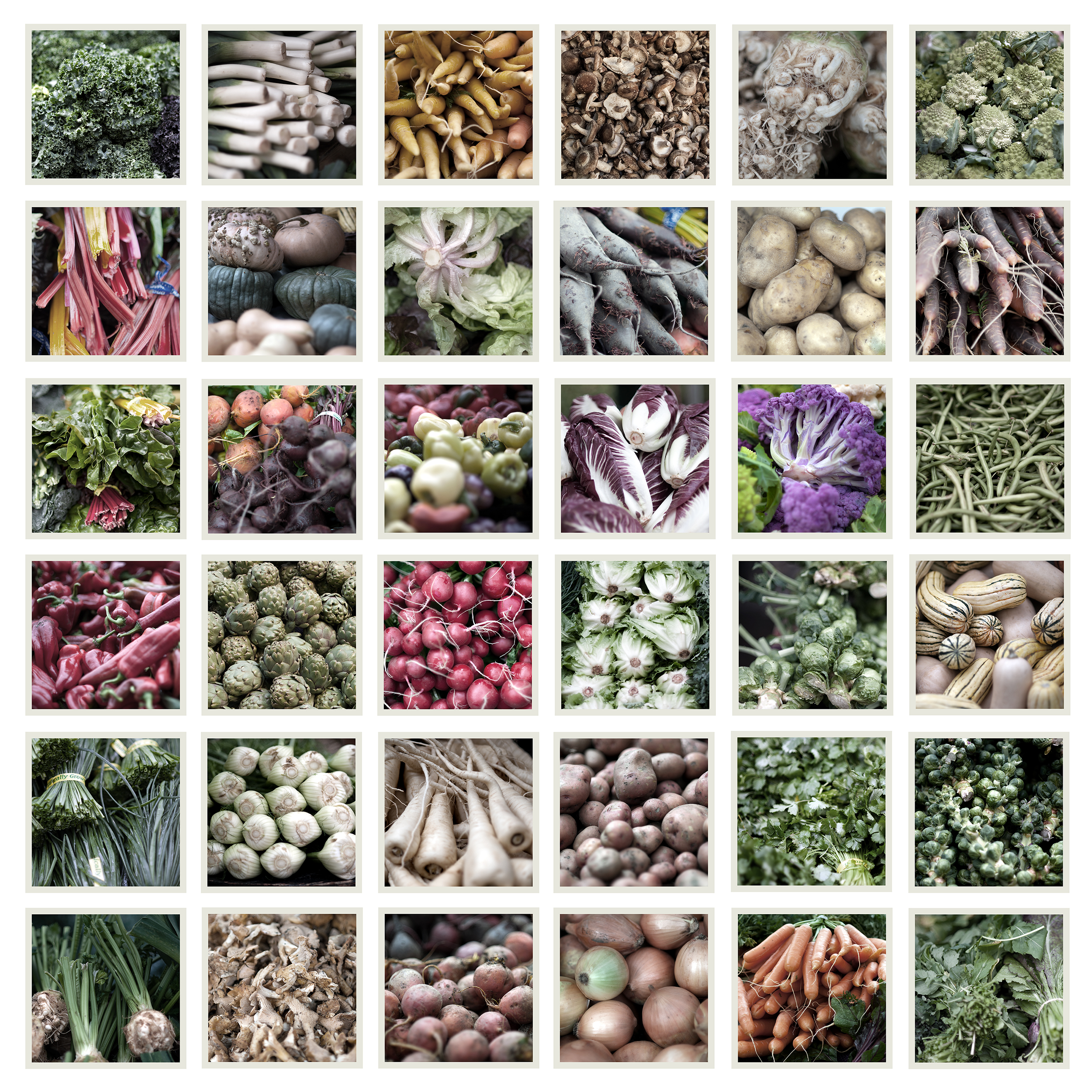 VeggieCollage_effects_Zenfolio.jpg
