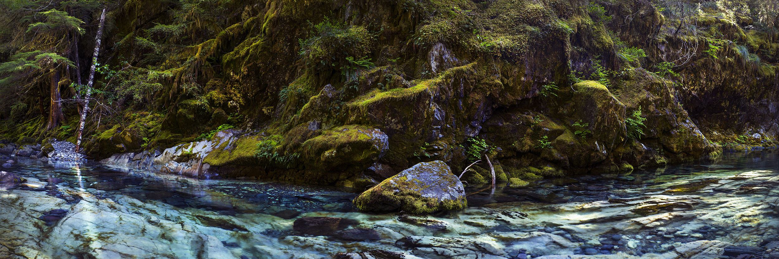 OpalPoolWaterMossWallsCanyon_9000w.jpg