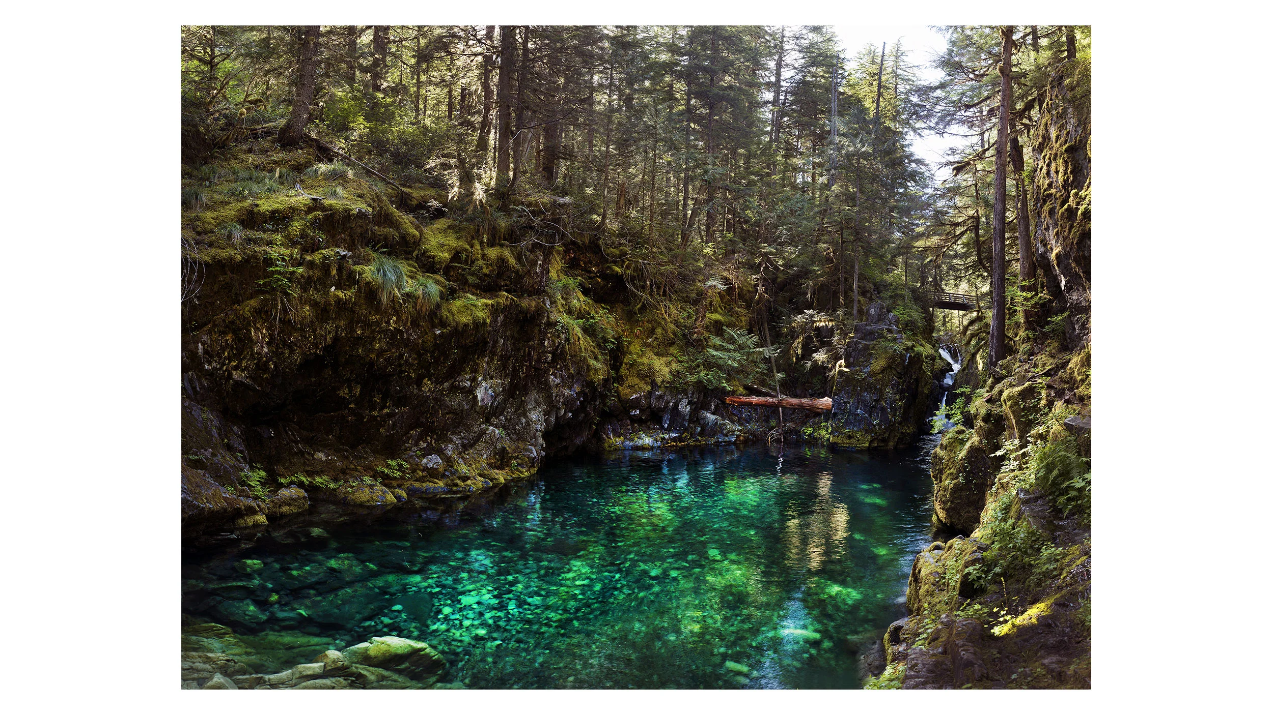 Opal Creek Oregon